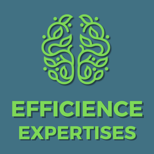 EFFICIENCE EXPERTISES